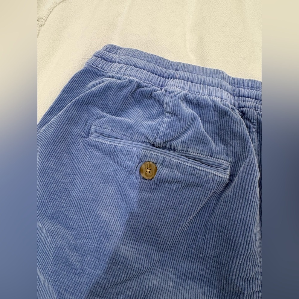 Men’s Marine Layer Corduroy Drawstring Shorts in Light Blue - Picture 5 of 6